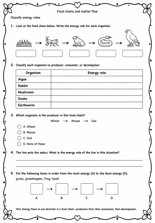Classify energy roles