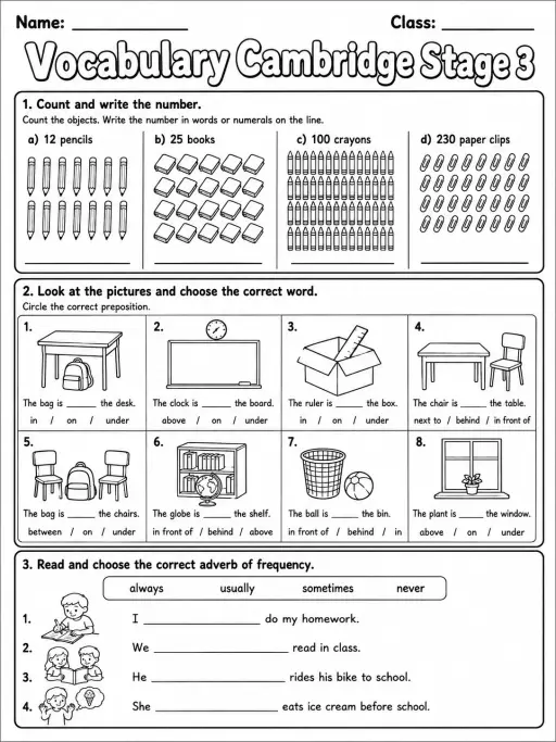 Vocabulary Cambridge Stage 3