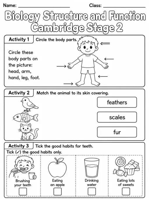 Biology Structure and Function Cambridge Stage 2