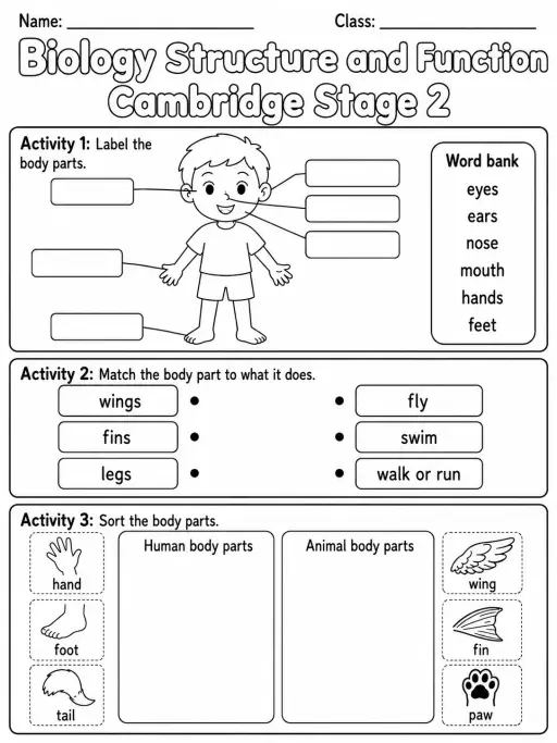 Biology Structure and Function Cambridge Stage 2