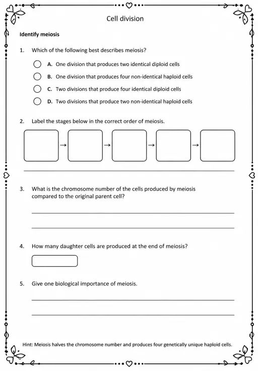 Identify meiosis