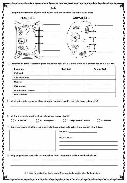 Compare observations of plant and animal cells and describe the pattern you notice