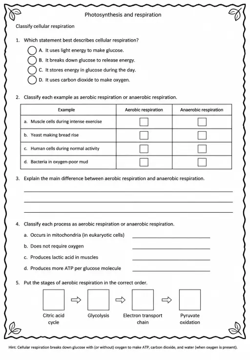Classify cellular respiration