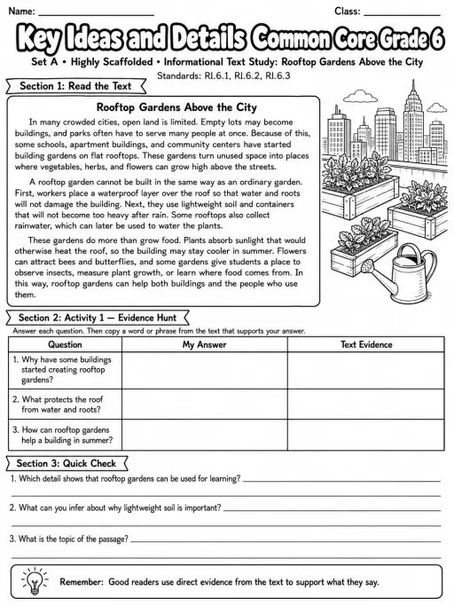 Key Ideas and Details Common Core Grade 6