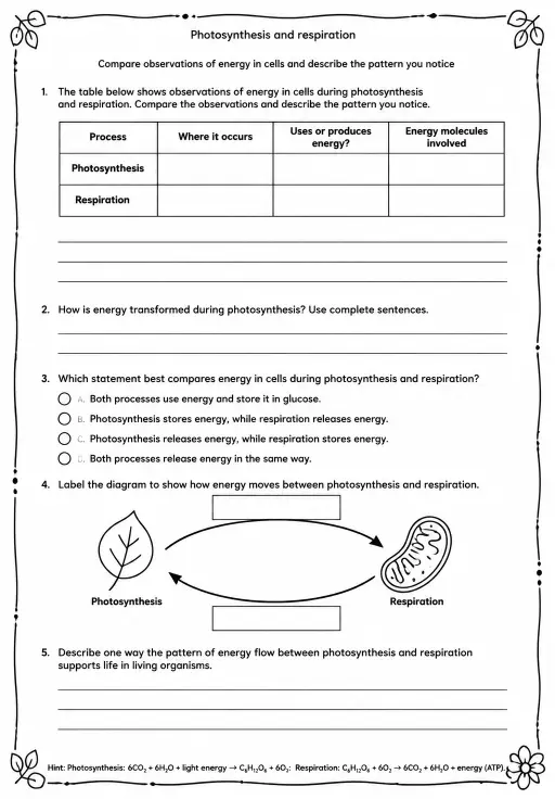 Compare observations of energy in cells and describe the pattern you notice