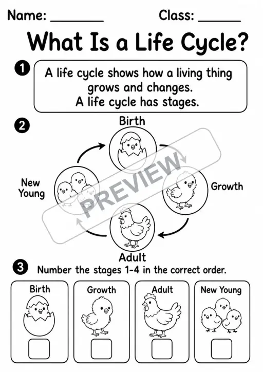 Animal Life Cycles Mega Pack | 9 Worksheets | Grades 1-3