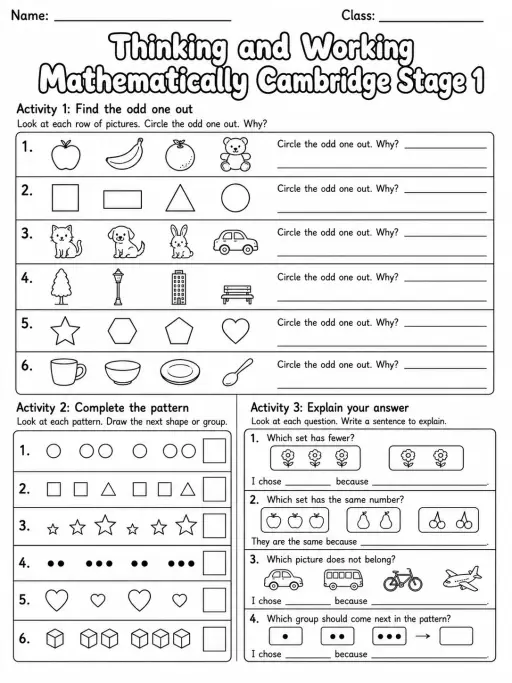 Thinking and Working Mathematically Cambridge Stage 1