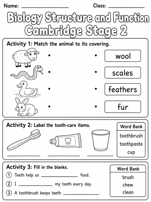 Biology Structure and Function Cambridge Stage 2