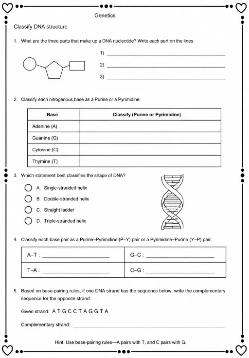 Classify DNA structure