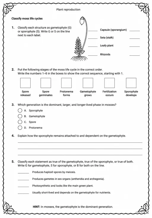Classify moss life cycles