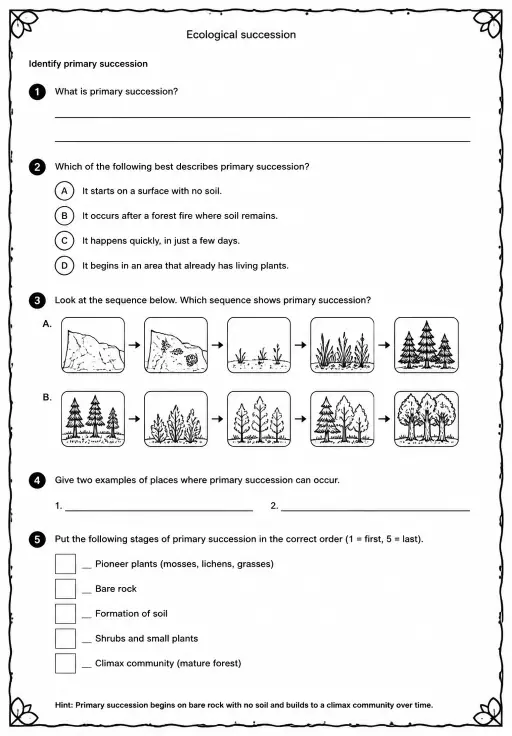 Identify primary succession