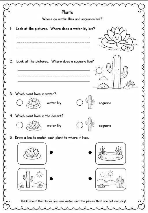 Where do water lilies and saguaros live?