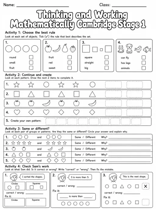 Thinking and Working Mathematically Cambridge Stage 1