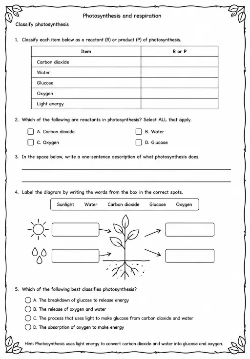 Classify photosynthesis