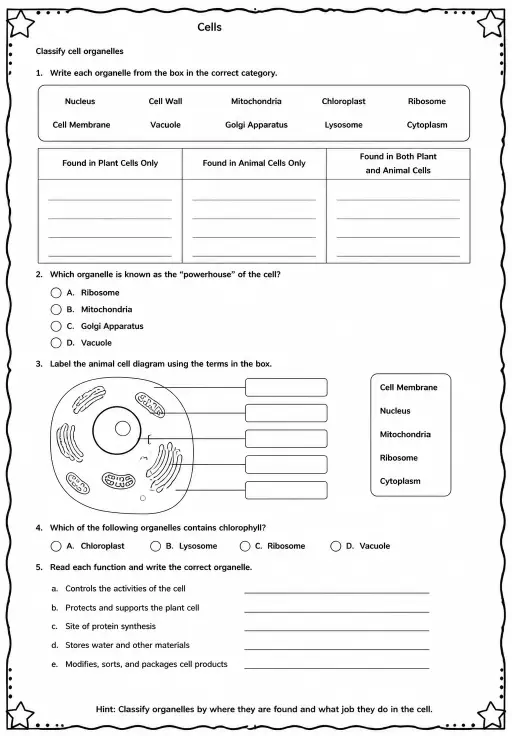 Classify cell organelles