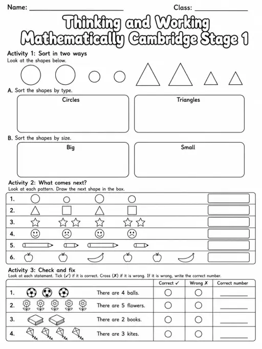 Thinking and Working Mathematically Cambridge Stage 1