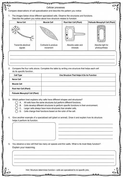 Compare observations of cell specialization and describe the pattern you notice