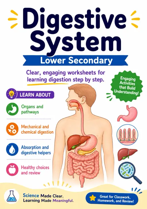 Digestive System Worksheet Pack