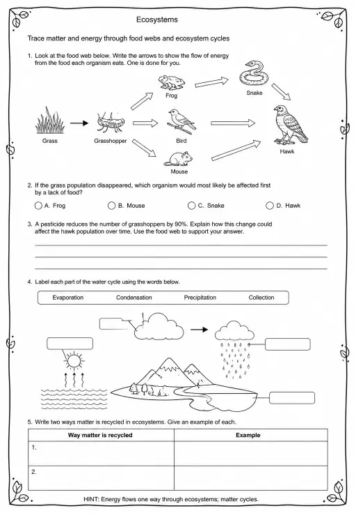 Trace matter and energy through food webs and ecosystem cycles