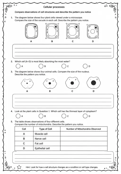Compare observations of cell structures and describe the pattern you notice