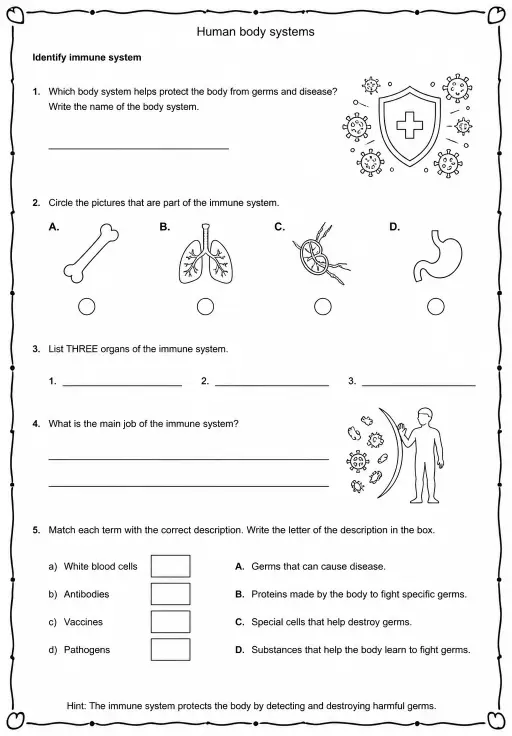 Identify immune system