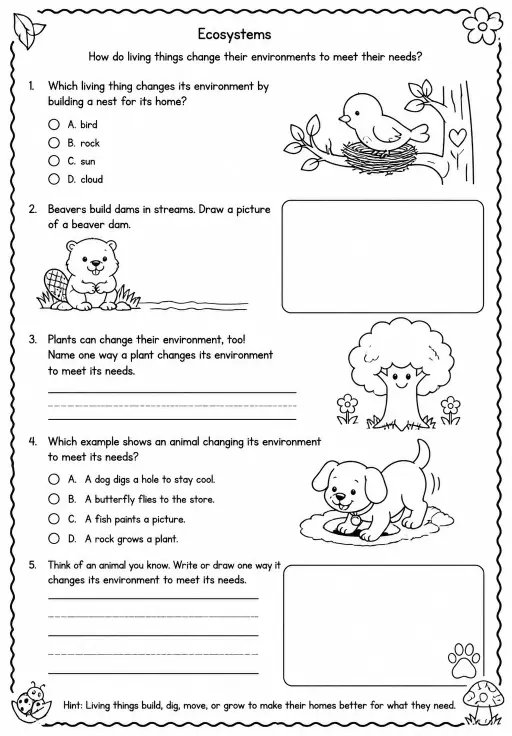 How do living things change their environments to meet their needs?