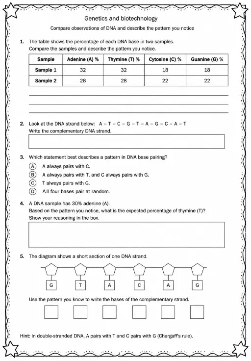 Compare observations of DNA and describe the pattern you notice