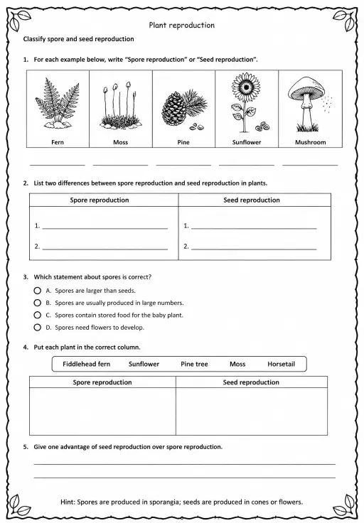 Classify spore and seed reproduction