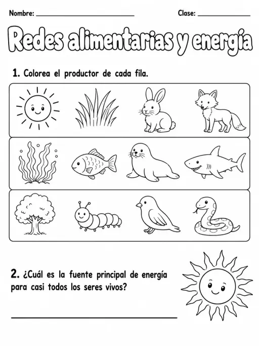 3.º grado - ciencias físicas - Paquete de fichas - Conjunto 7