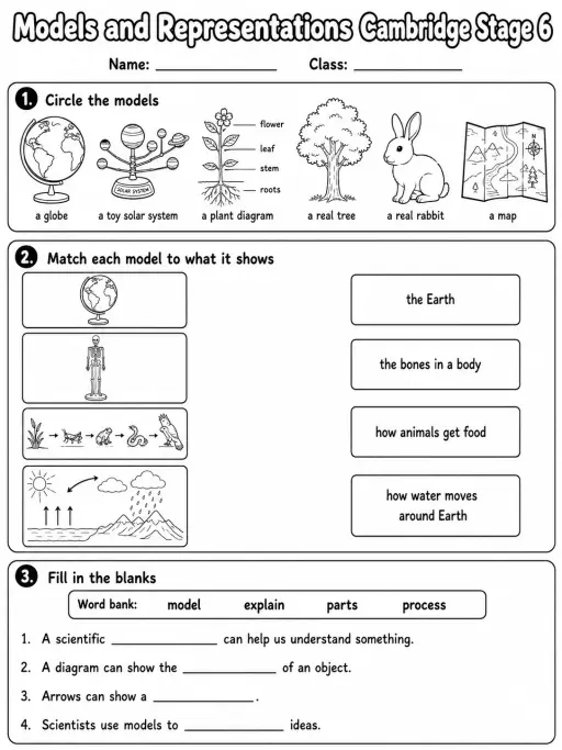 Models and Representations Cambridge Stage 6