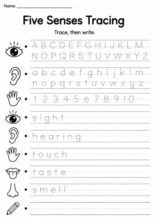 Five Senses Tracing — Grade 2