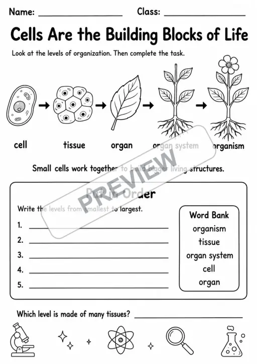 Plant and Animal Cells Visual Pack | 9 Worksheets | Grades 4-6