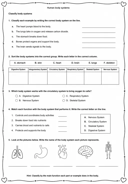 Classify body systems