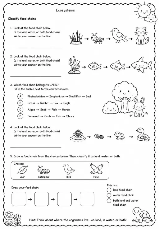 Classify food chains