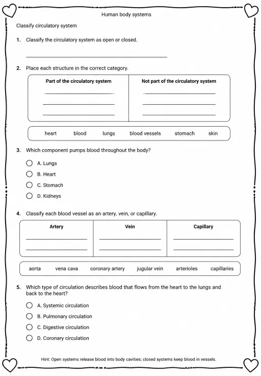 Classify circulatory system
