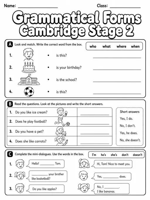 Grammatical Forms Cambridge Stage 2