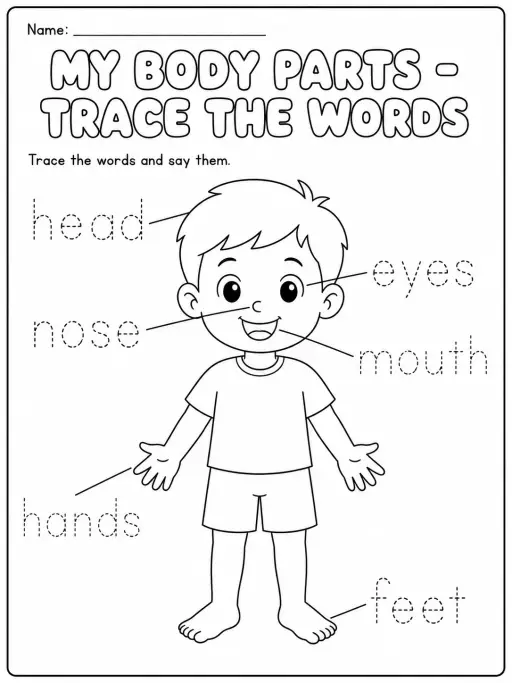 My Body Parts - Trace the Words Worksheet Pack