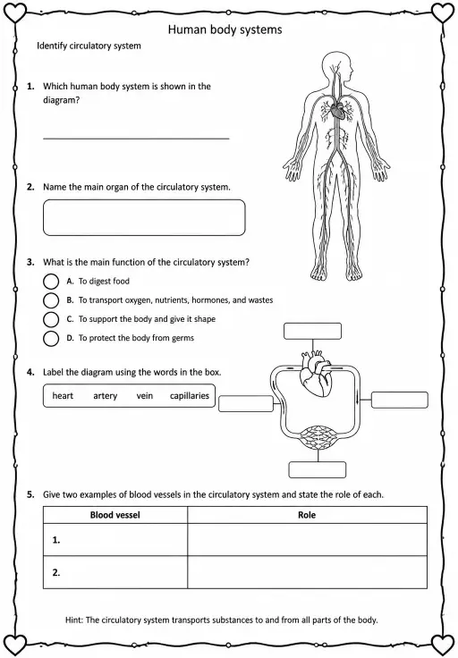 Identify circulatory system