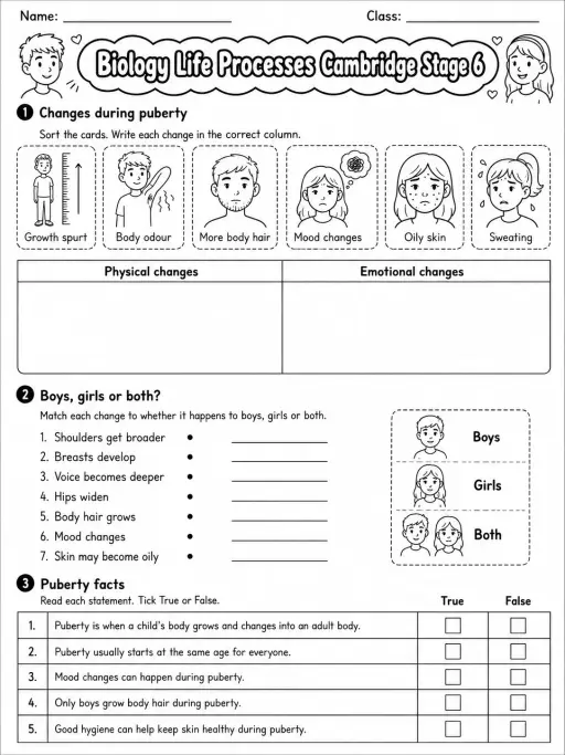 Biology Life Processes Cambridge Stage 6