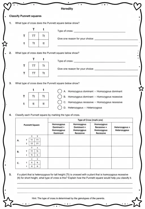 Classify Punnett squares