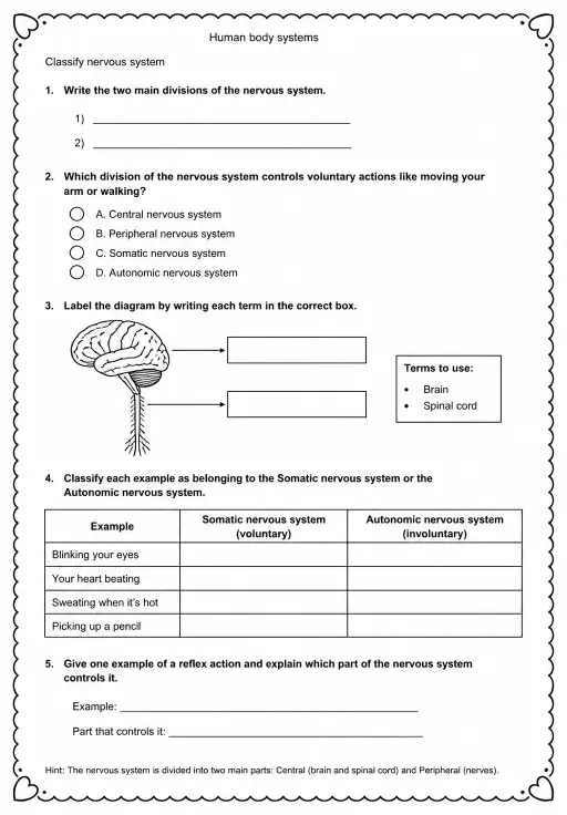 Classify nervous system