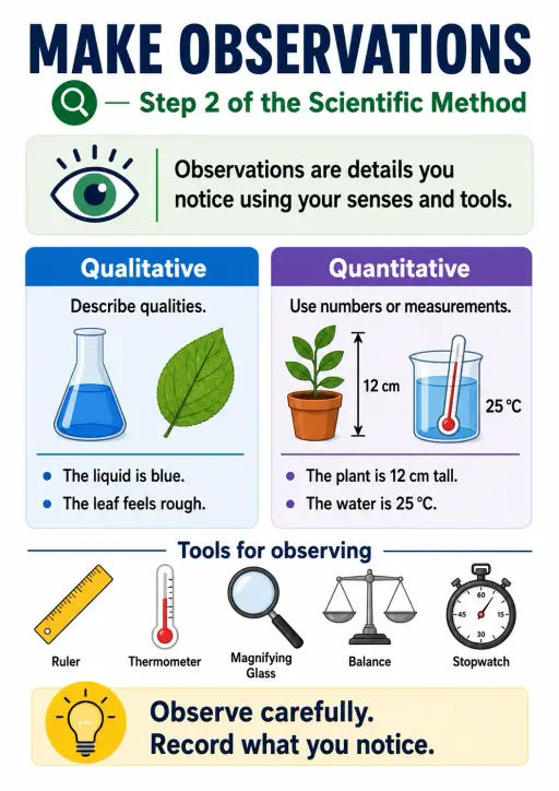 Make Observations Scientific Method Infographic