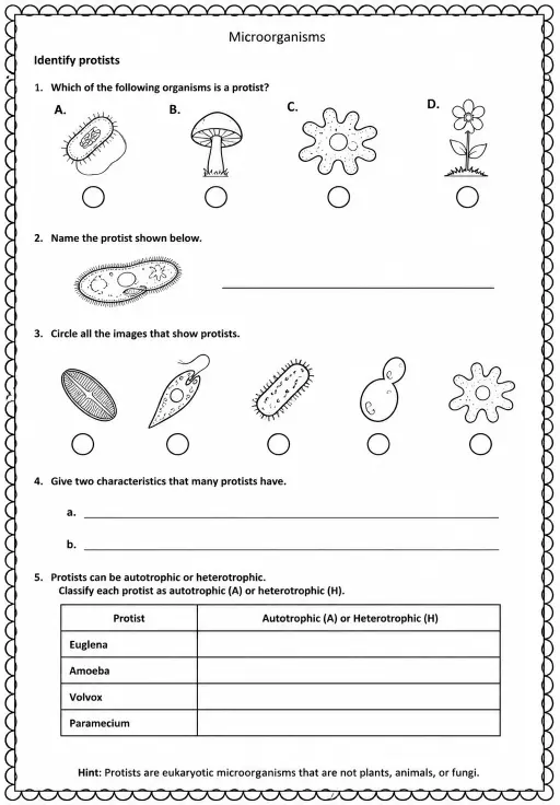 Identify protists