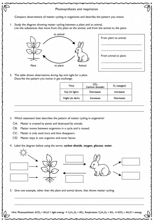 Compare observations of matter cycling in organisms and describe the pattern you notice