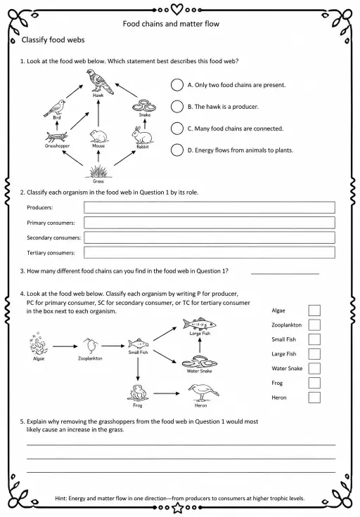 Classify food webs