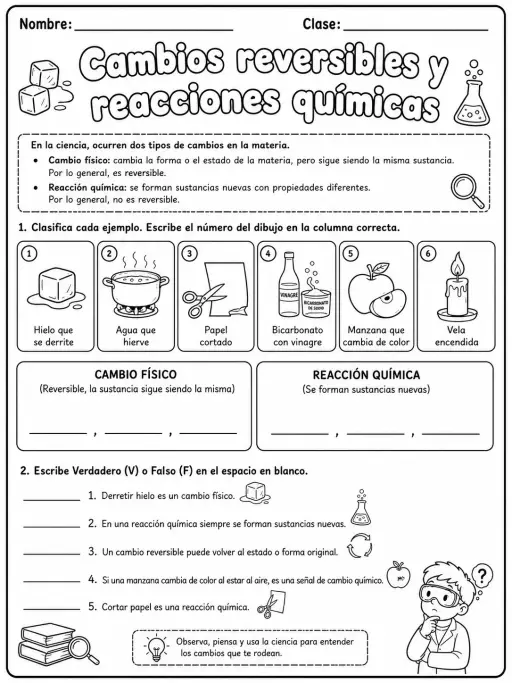 2.º grado - cuerpo humano y salud - Paquete de fichas - Conjunto 2