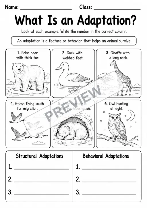 Animal Adaptations Visual Practice | 5 Worksheets | Grades 3-4