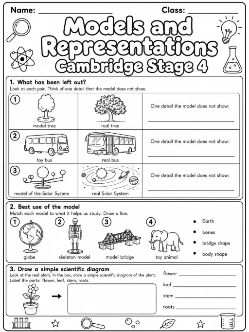 Models and Representations Cambridge Stage 4