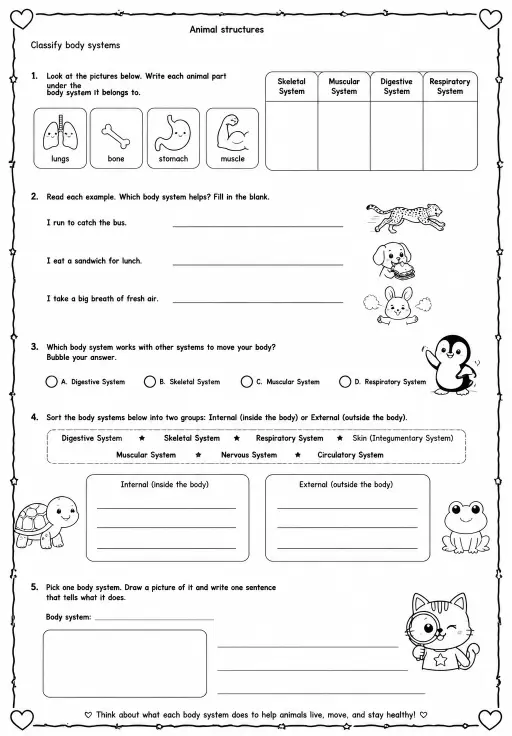 Classify body systems