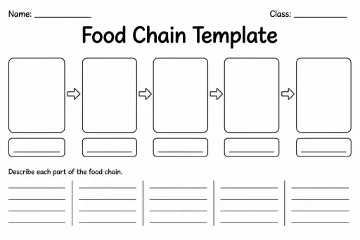 Food Chain Template